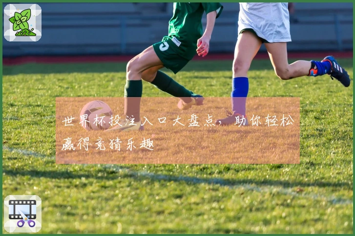 世界杯投注入口大盘点，助你轻松赢得竞猜乐趣