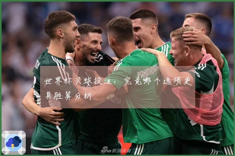 世界杯买球投注，究竟哪个选项更具胜算分析