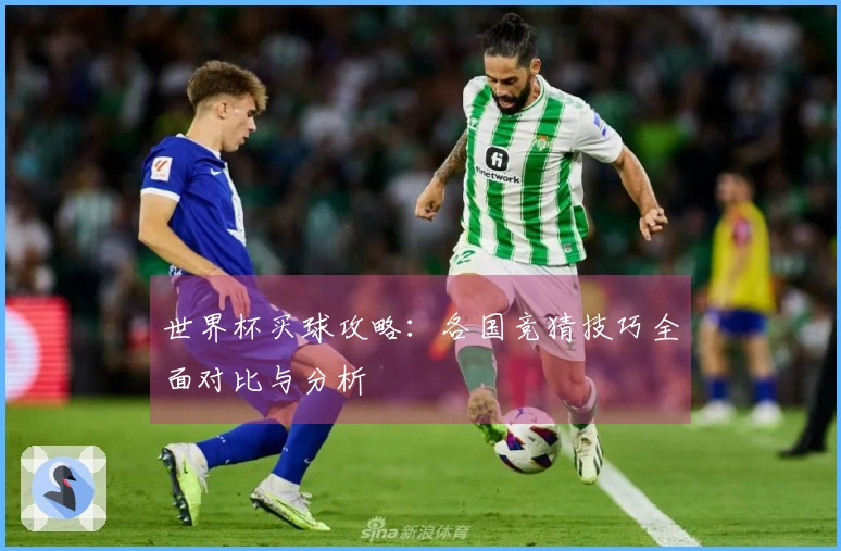 世界杯买球攻略：各国竞猜技巧全面对比与分析