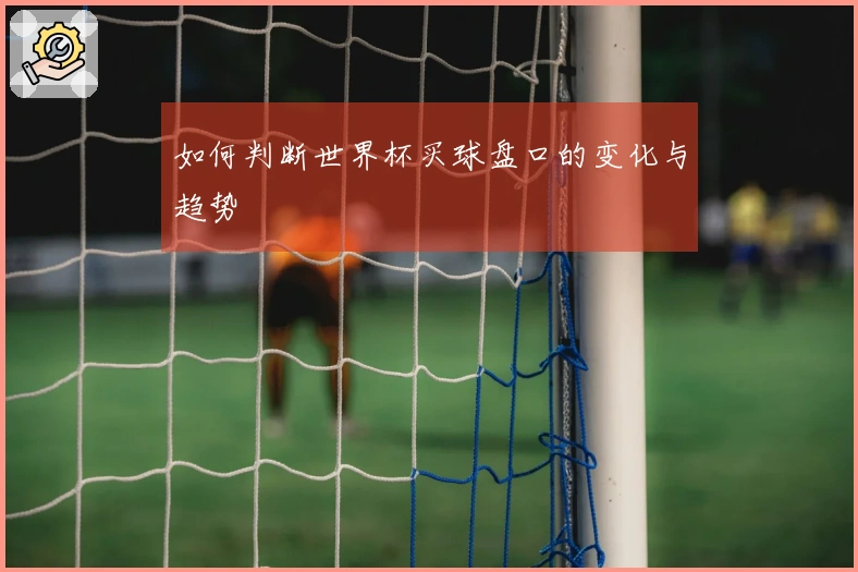 如何判断世界杯买球盘口的变化与趋势