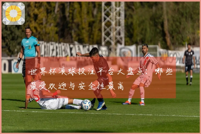 世界杯滚球投注平台大盘点：哪些最受欢迎与安全性最高