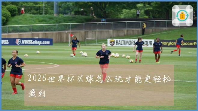 2026世界杯买球怎么玩才能更轻松盈利