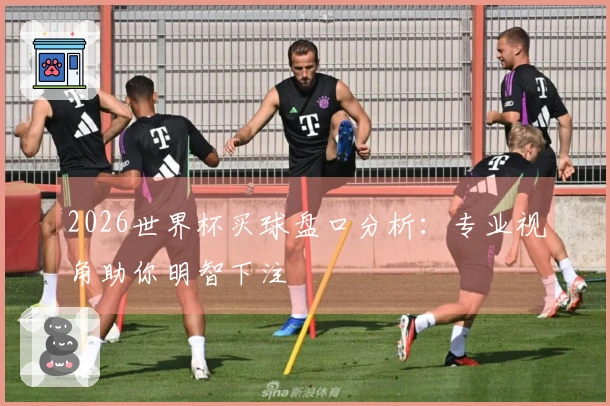 2026世界杯买球盘口分析：专业视角助你明智下注