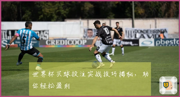 世界杯买球投注实战技巧揭秘，助你轻松盈利