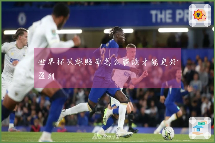世界杯买球赔率怎么解读才能更好盈利