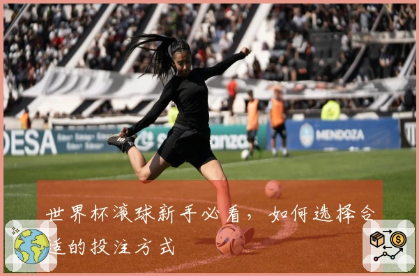 世界杯滚球新手必看，如何选择合适的投注方式