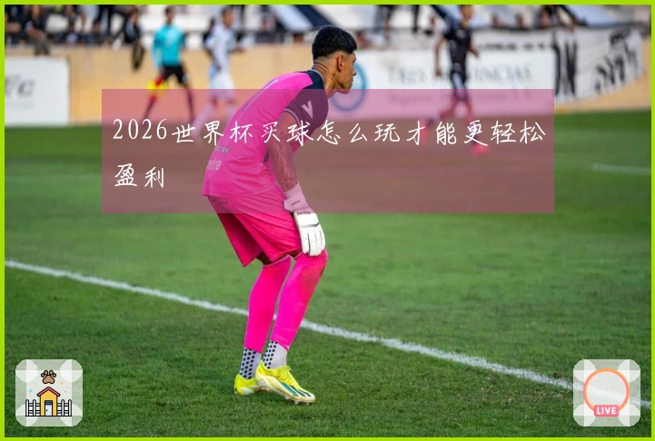 2026世界杯买球怎么玩才能更轻松盈利