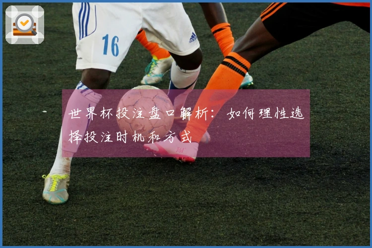 世界杯投注盘口解析：如何理性选择投注时机和方式