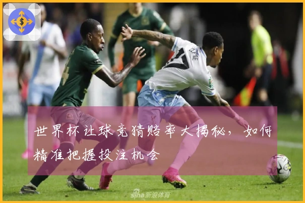 世界杯让球竞猜赔率大揭秘，如何精准把握投注机会
