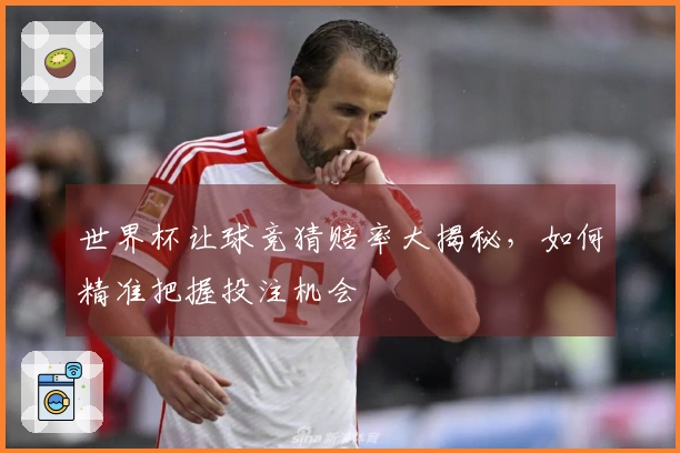 世界杯让球竞猜赔率大揭秘，如何精准把握投注机会