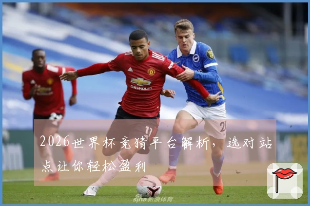 2026世界杯竞猜平台解析，选对站点让你轻松盈利