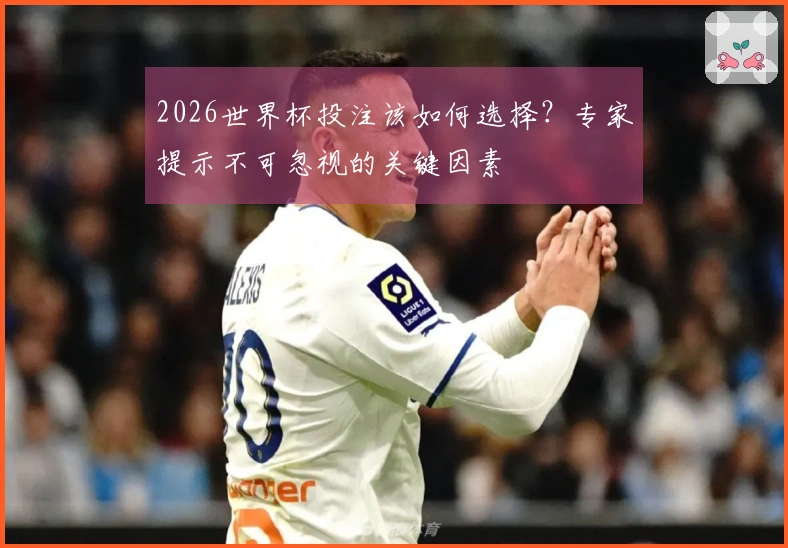 2026世界杯投注该如何选择？专家提示不可忽视的关键因素