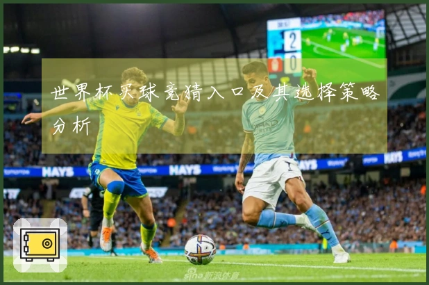 世界杯买球竞猜入口及其选择策略分析
