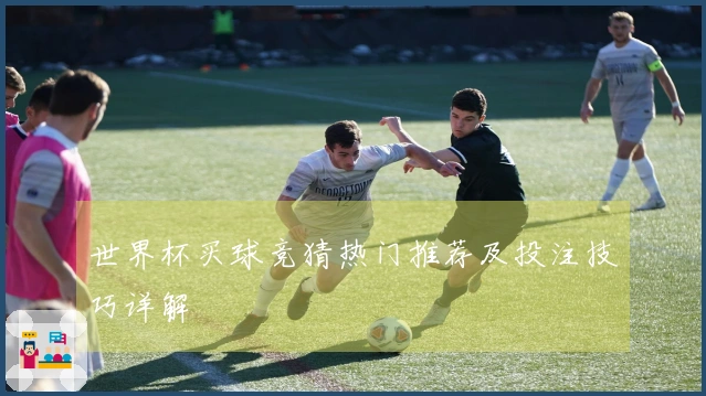 世界杯买球竞猜热门推荐及投注技巧详解