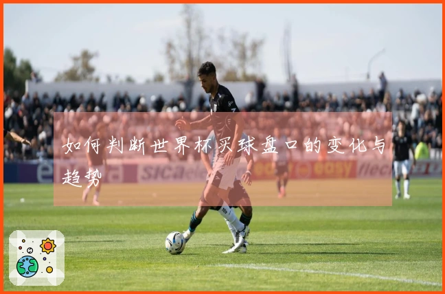 如何判断世界杯买球盘口的变化与趋势