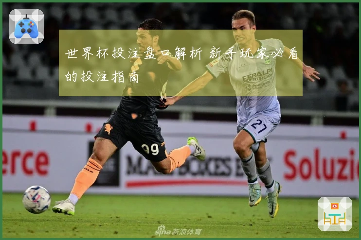 世界杯投注盘口解析 新手玩家必看的投注指南