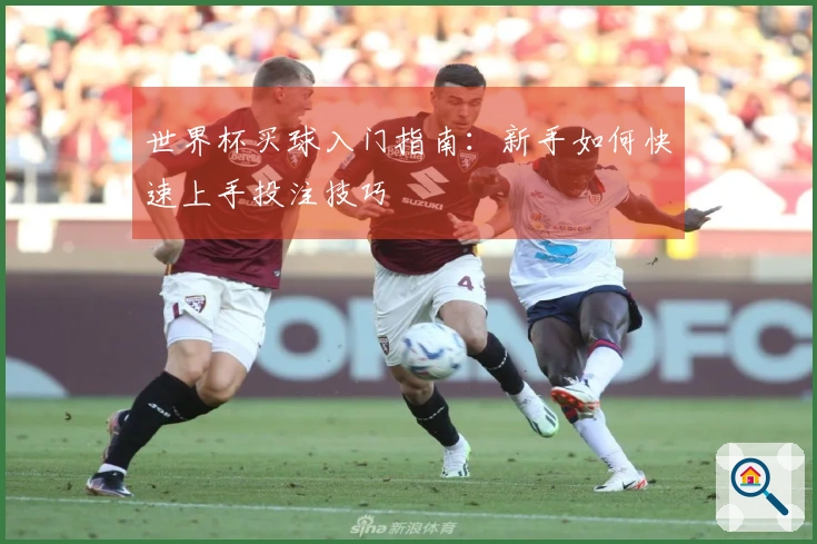 世界杯买球入门指南：新手如何快速上手投注技巧