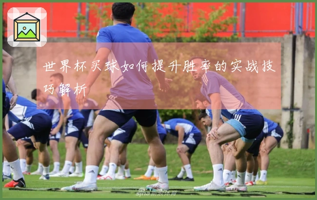世界杯买球如何提升胜率的实战技巧解析